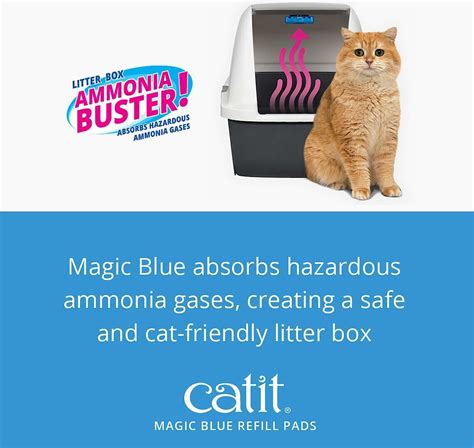 Addressing Common Concerns about Catit Litter Box with Blue Magic Technology